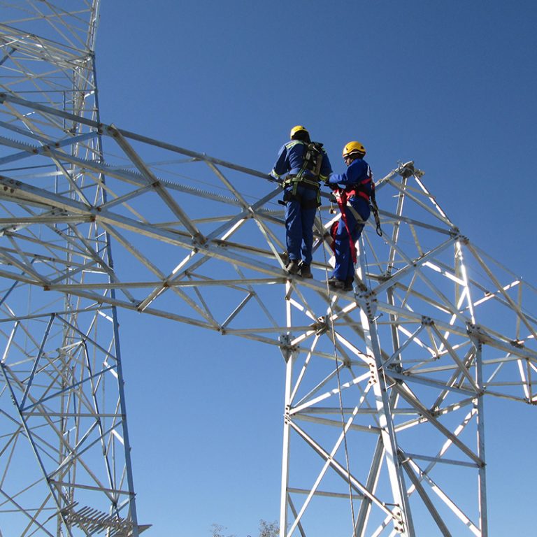 About Power Line Africa Pty Ltd Power Line Africa Pty (Ltd)